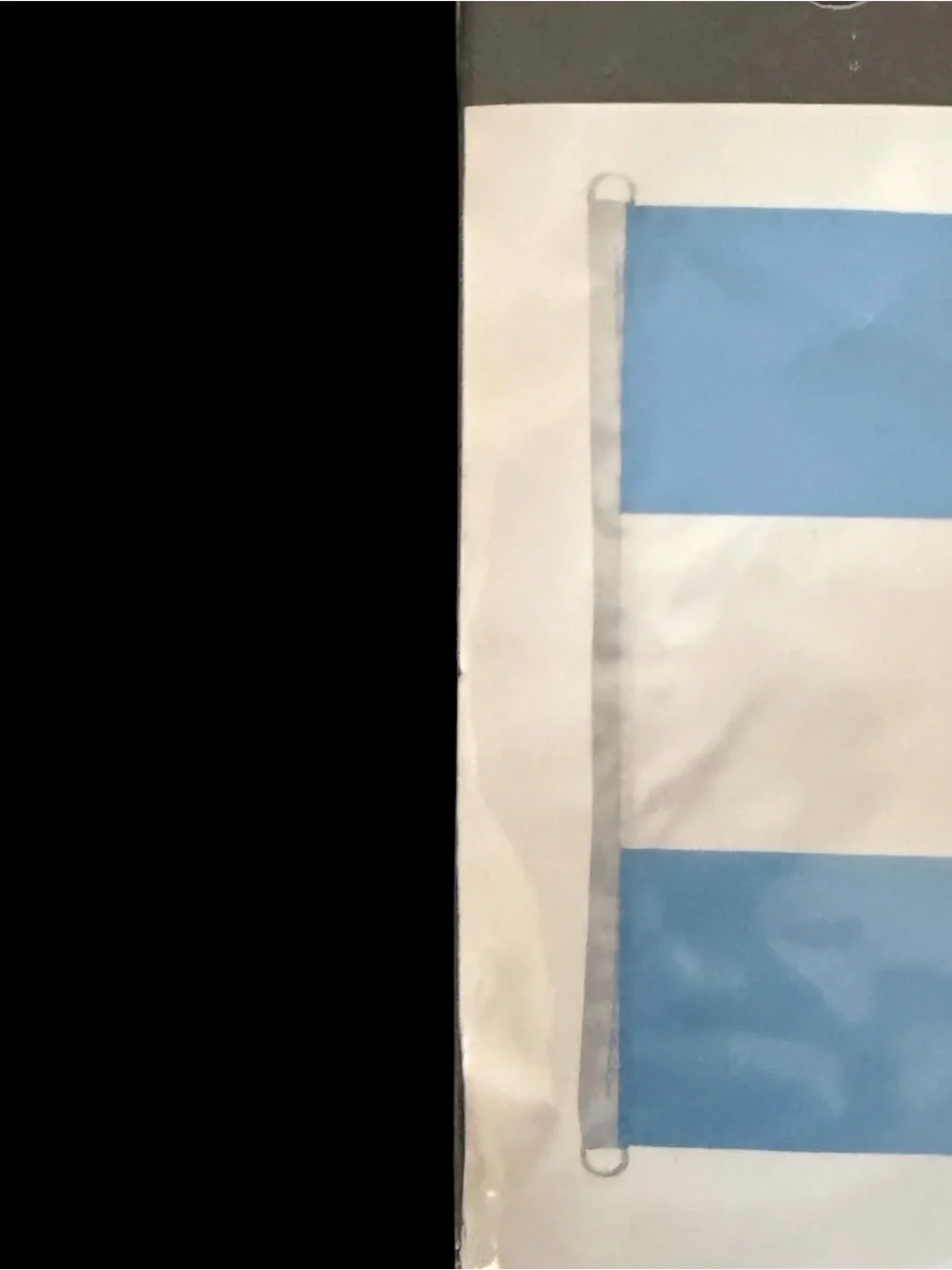 FANATICS Argentina Flag 3 ft x 5 ft
